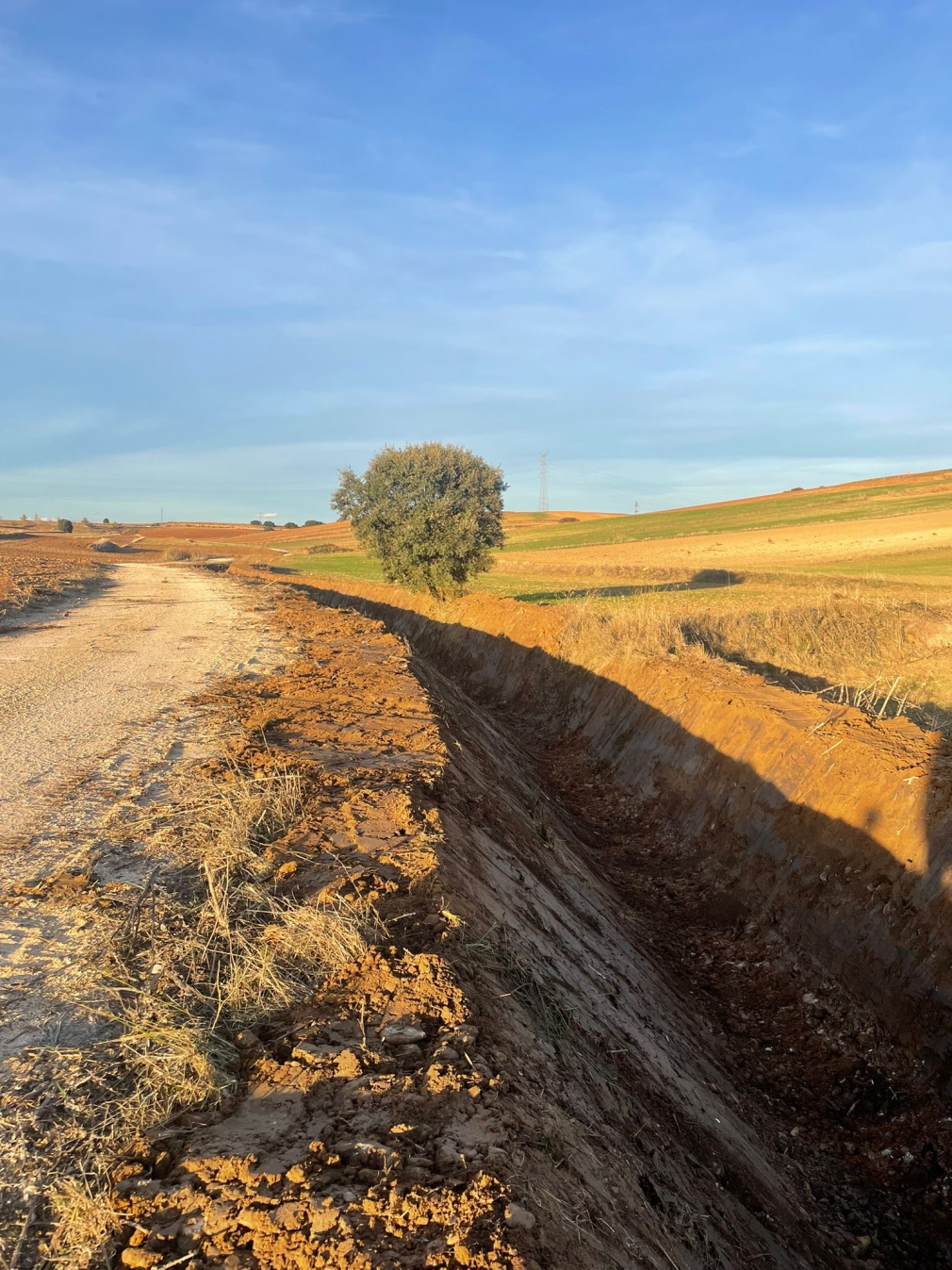 LIMPIEZA DEL ARROYO DE LA HUELGA